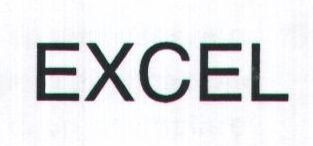 EXCEL