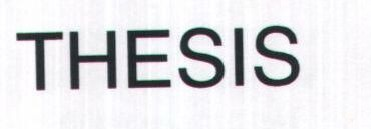 THESIS