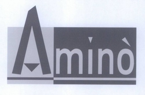 AMINO'