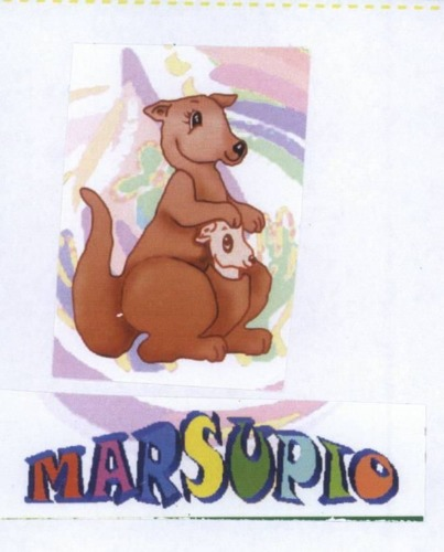 MARSUPIO