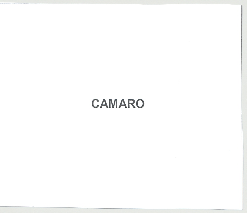 CAMARO (VERBALE)