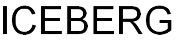 ICEBERG (VERBALE)