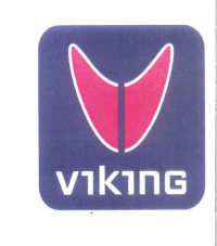 VIKING (FIGURATIVO A COLORI)