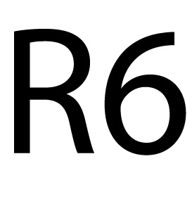 R6 (MARCHIO VERBALE)