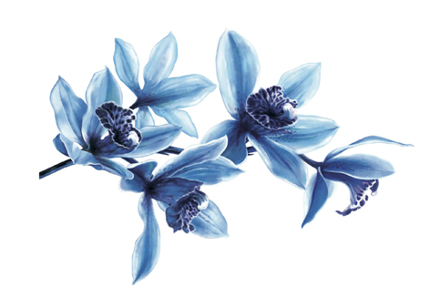 "FIGURATIVO A COLORI"