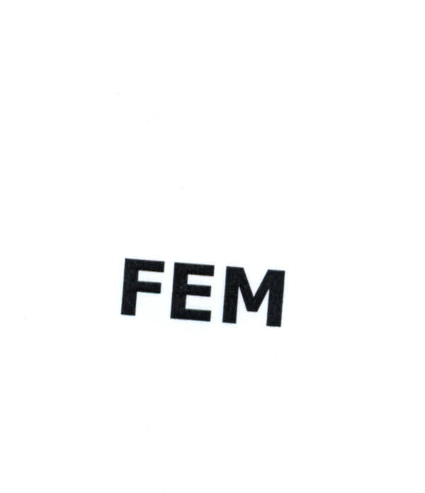 FEM