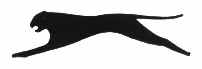 "MARCHIO FIGURATIVO"