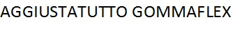 AGGIUSTATUTTO GOMMAFLEX
