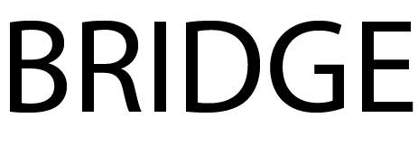 BRIDGE (MARCHIO VERBALE)