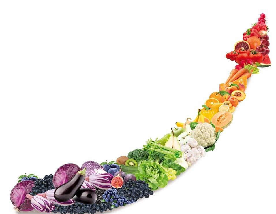 MARCHIO FIGURATIVO A COLORI