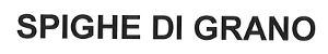 SPIGHE DI GRANO