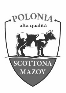 MARCHIO FIGURATIVO "SCOTTONA MAZOY"