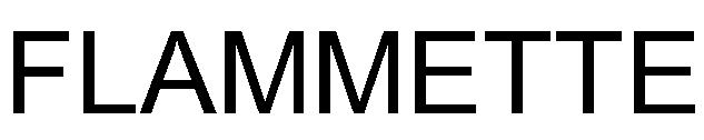 FLAMMETTE