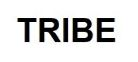 TRIBE
