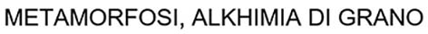 METAMORFOSI, ALKHIMIA DI GRANO