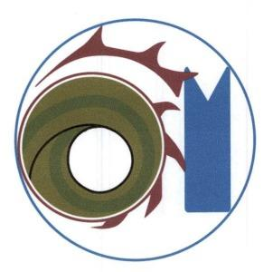 MARCHIO FIGURATIVO COME DA ESEMPLARE ALLEGATO