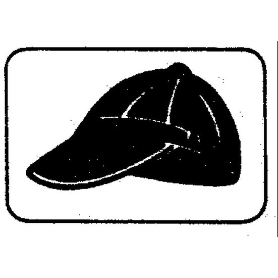 IL MARCHIO CONSISTE IN UNA FIGURA