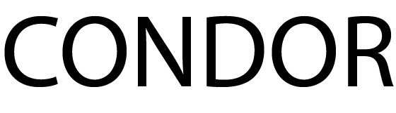 CONDOR