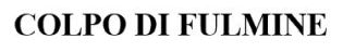 IL MARCHIO VERBALE È COSTITUITO DALLA DICITURA "COLPO DI FULMINE" IN CARATTERI STANDARD.