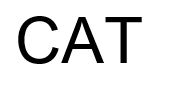 CAT