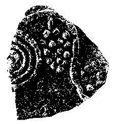 "MARCHIO FIGURATIVO"