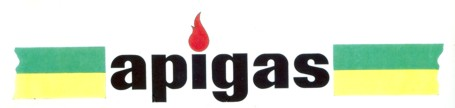 APIGAS (MARCHIO FIGURATIVO A COLORI)