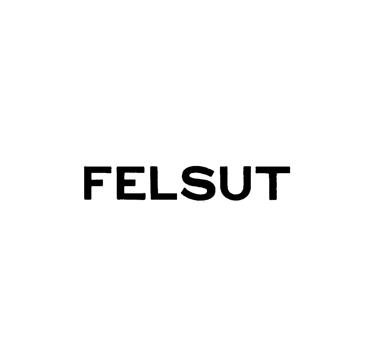 ＦＥＬＳＵＴ