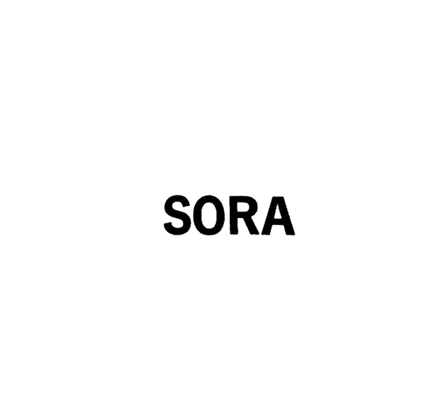ＳＯＲＡ
