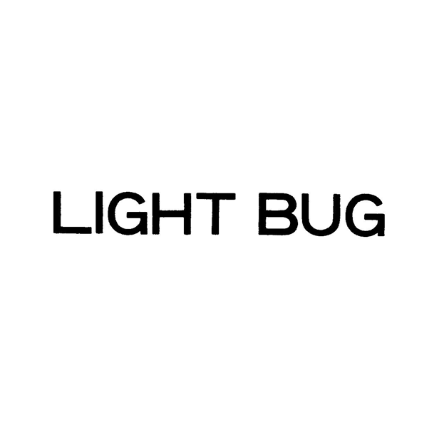ＬＩＧＨＴ　ＢＵＧ