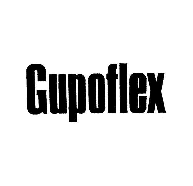 Ｇｕｐｏｆｌｅｘ