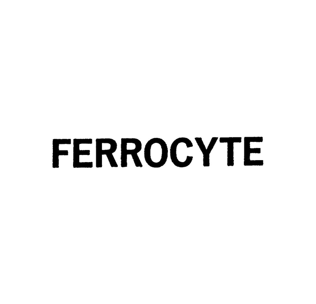 ＦＥＲＲＯＣＹＴＥ