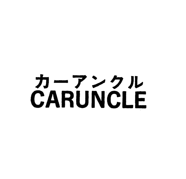 カ－アンクル＼ＣＡＲＵＮＣＬＥ