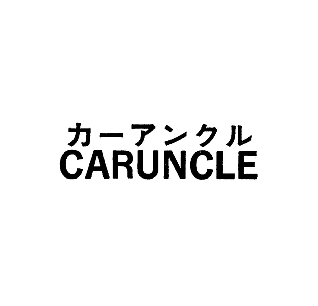 カ－アンクル＼ＣＡＲＵＮＣＬＥ