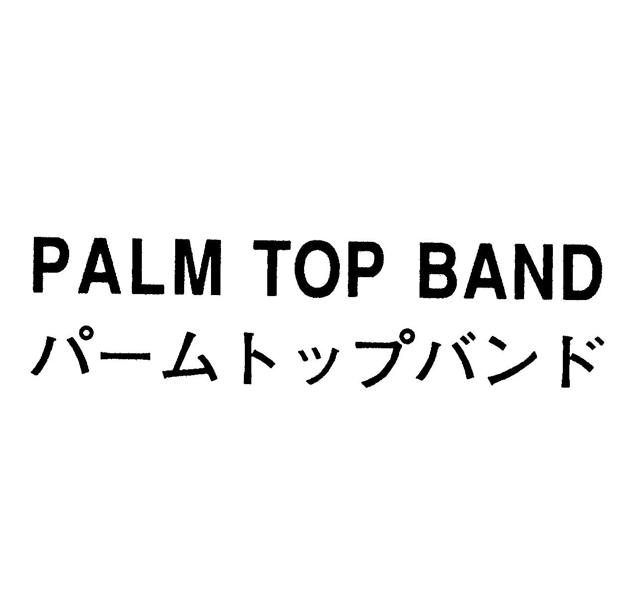 ＰＡＬＭ　ＴＯＰ　ＢＡＮＤ＼パームトップバンド