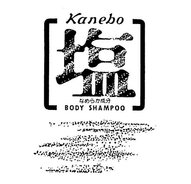 Ｋａｎｅｂｏ＼塩＼なめらか成分＼ＢＯＤＹ　ＳＨＡＭＰＯＯ
