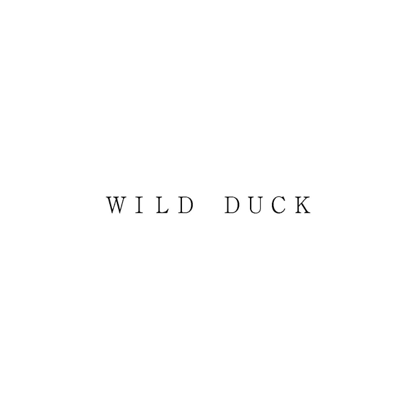 ＷＩＬＤ　ＤＵＣＫ