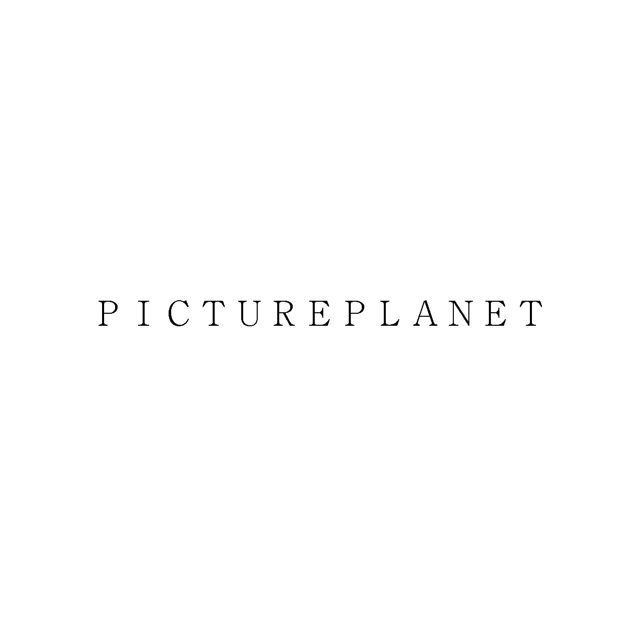ＰＩＣＴＵＲＥＰＬＡＮＥＴ