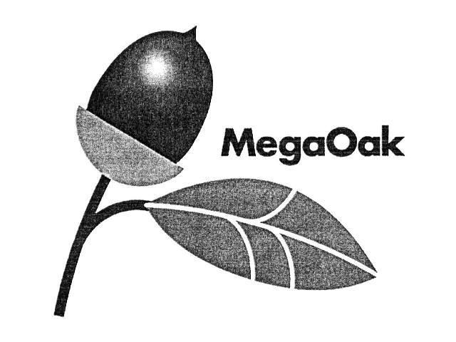 ＭｅｇａＯａｋ