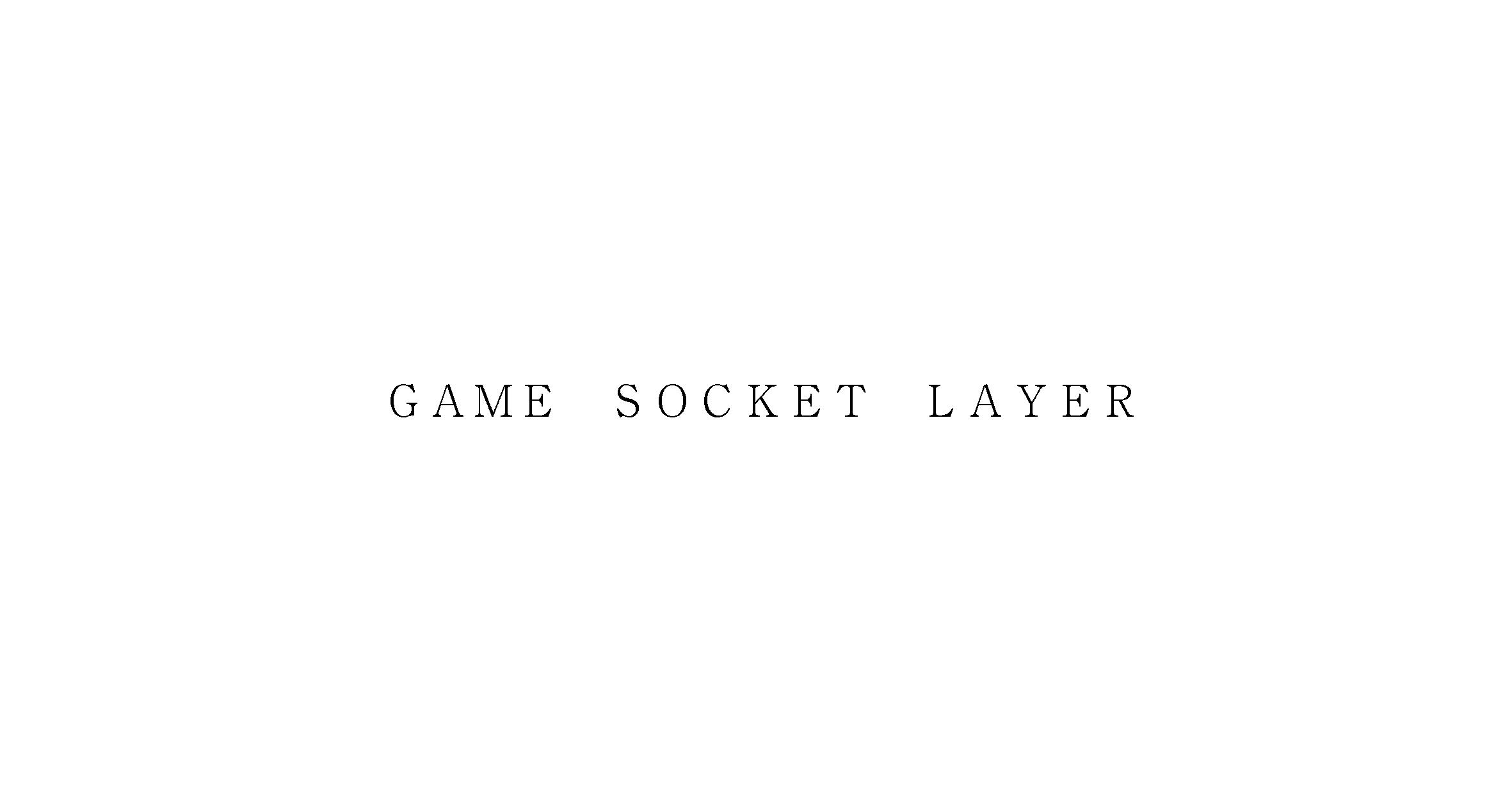 ＧＡＭＥ　ＳＯＣＫＥＴ　ＬＡＹＥＲ