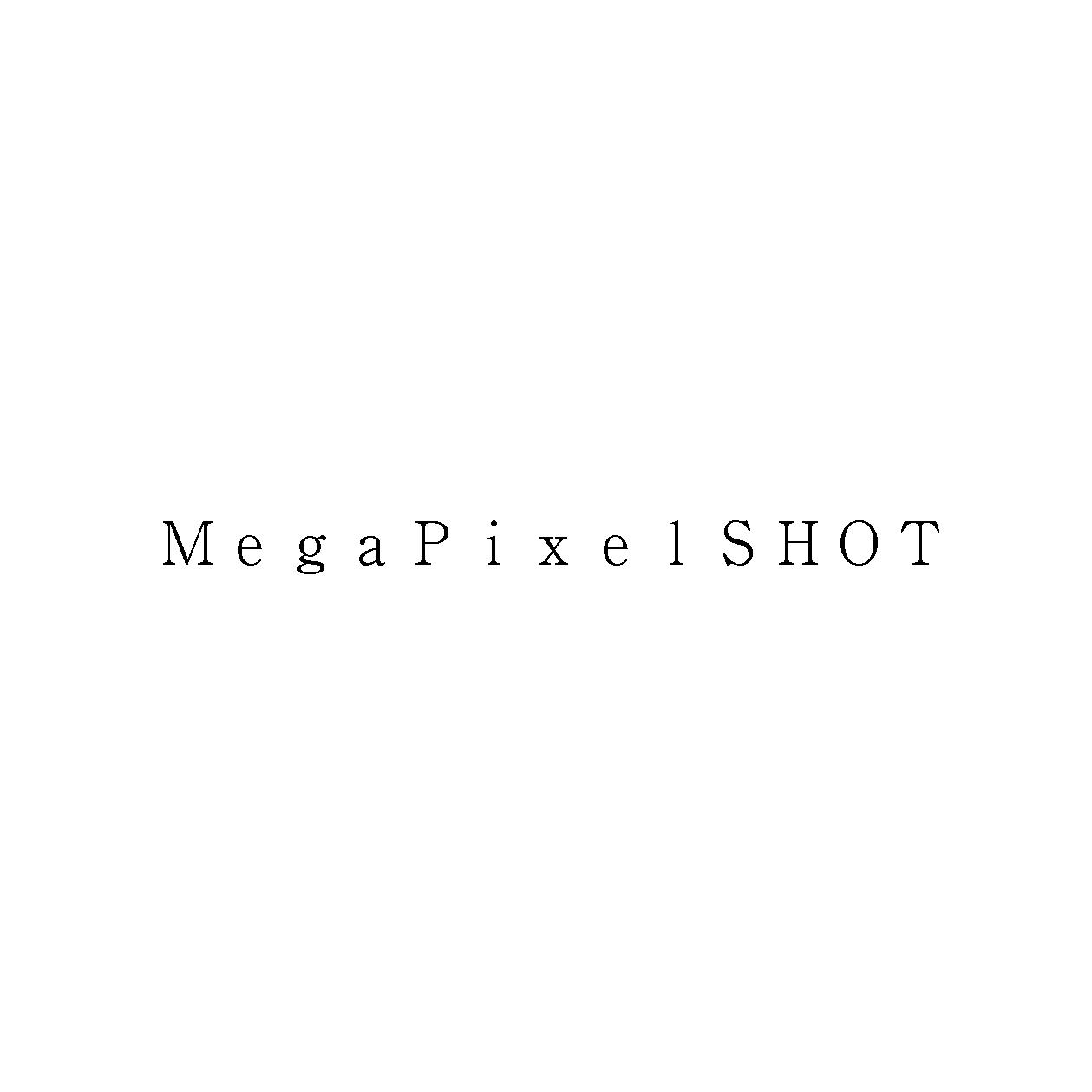 ＭｅｇａＰｉｘｅｌＳＨＯＴ