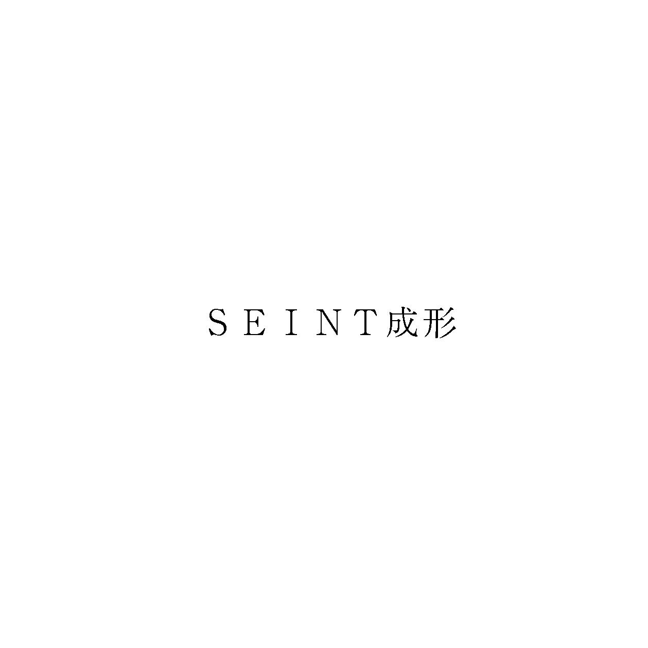 ＳＥＩＮＴ成形