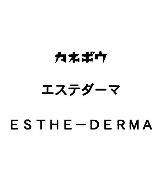 カネボウ＼エステダーマ＼ＥＳＴＨＥ―ＤＥＲＭＡ