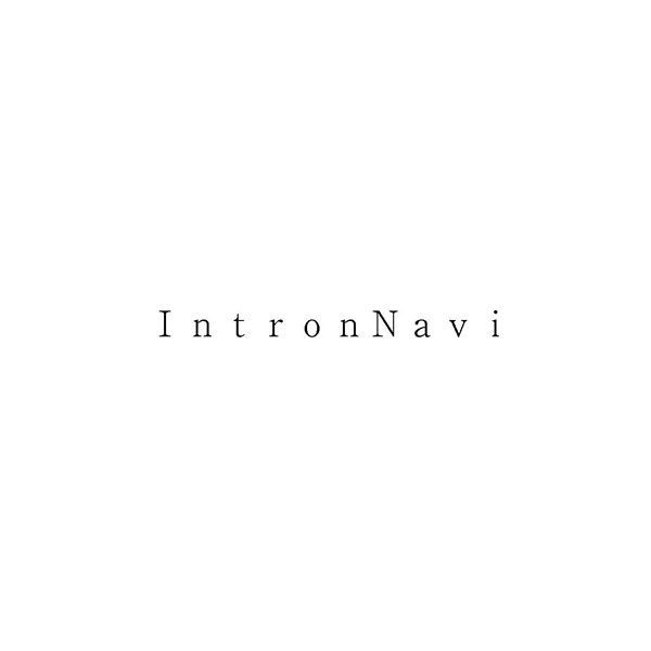 ＩｎｔｒｏｎＮａｖｉ