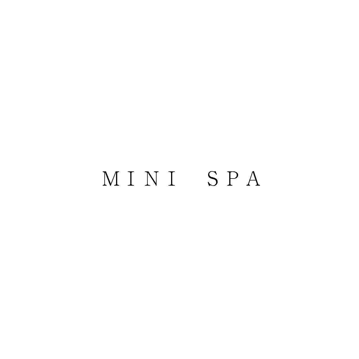 ＭＩＮＩ　ＳＰＡ