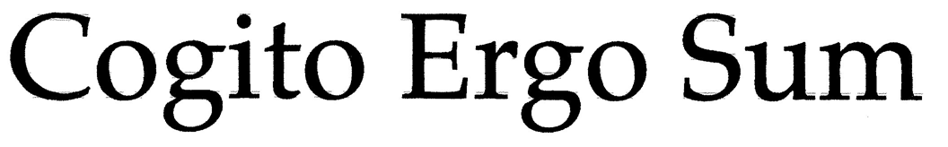 Ｃｏｇｉｔｏ　Ｅｒｇｏ　Ｓｕｍ