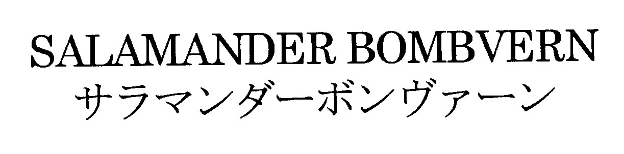 ＳＡＬＡＭＡＮＤＥＲ　ＢＯＭＢＶＥＲＮ＼サラマンダーボンヴァーン