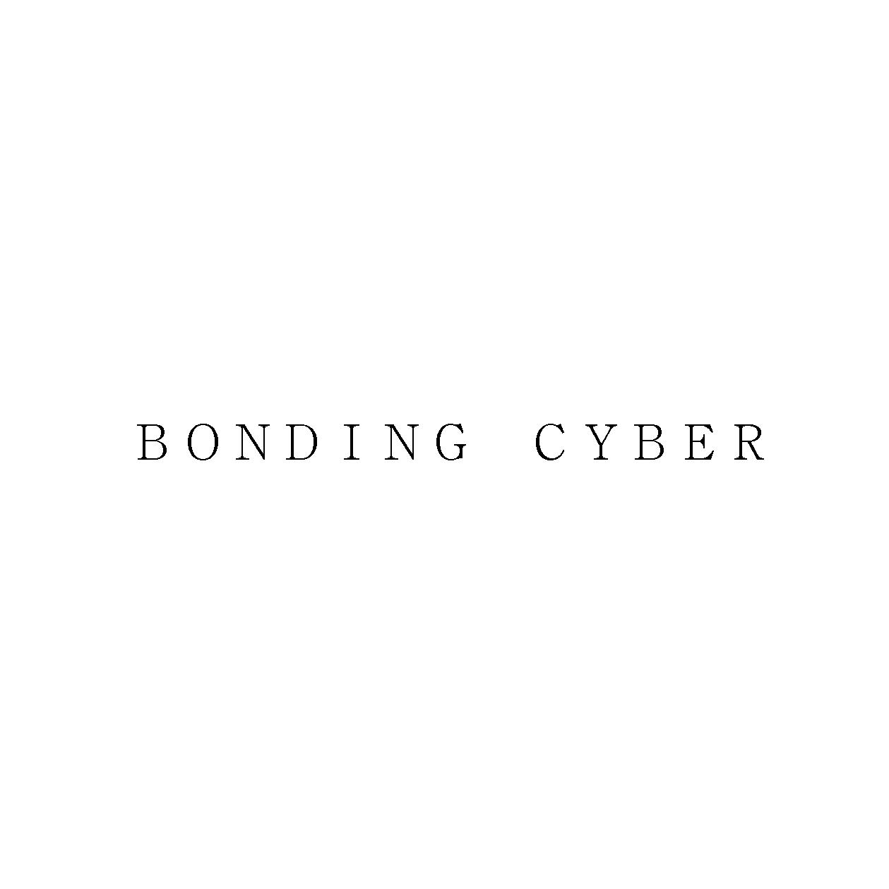 ＢＯＮＤＩＮＧ　ＣＹＢＥＲ