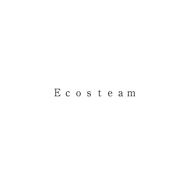 Ｅｃｏｓｔｅａｍ