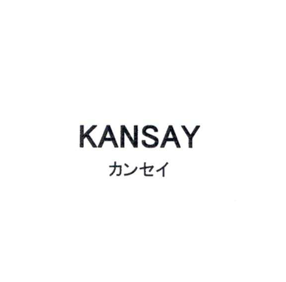 ＫＡＮＳＡＹ＼カンセイ