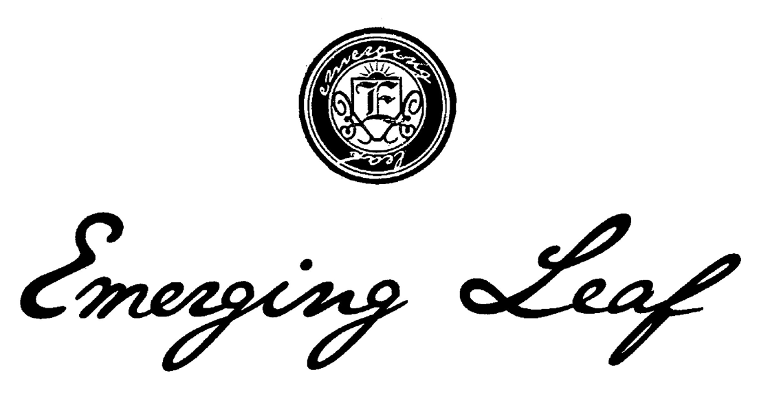 §Ｅ∞Ｅｍｅｒｇｉｎｇ　Ｌｅａｆ∞ｅｍｅｒｇｉｎｇ∞ｌｅａｆ